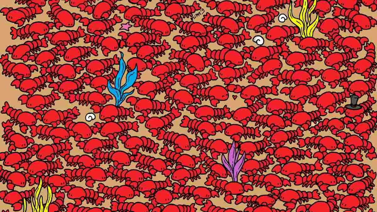 Spot 4 Crabs.