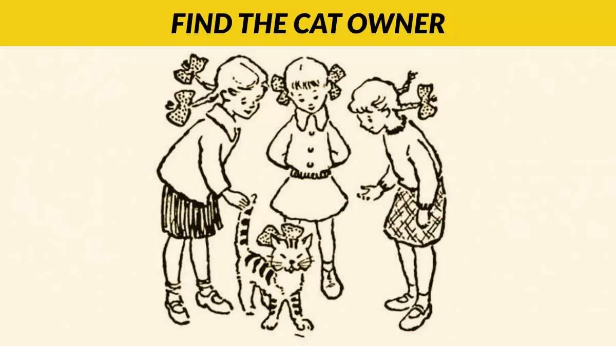 Find the owner of the cat