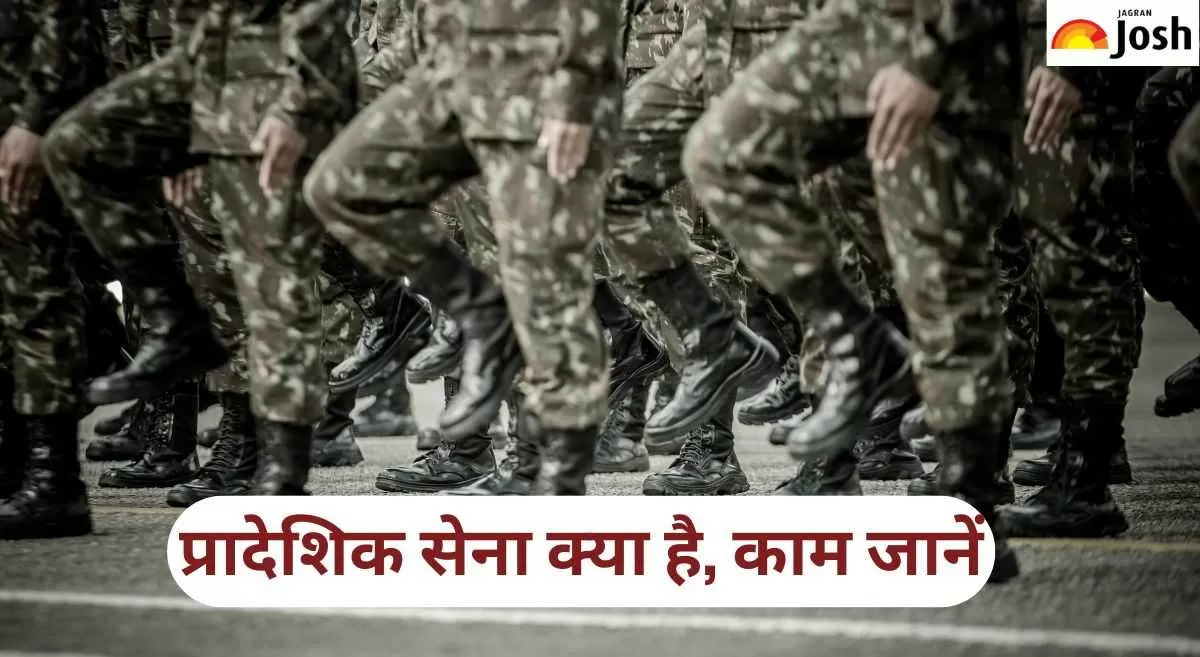 What is Territorial Army