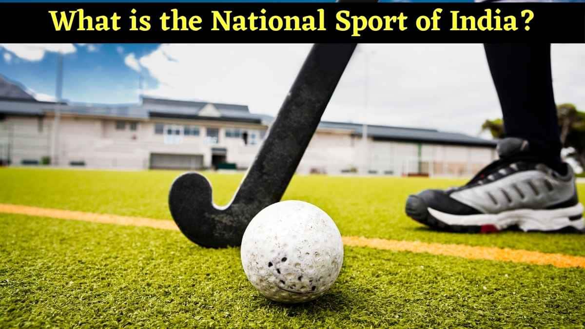 What is the National Sport of India?