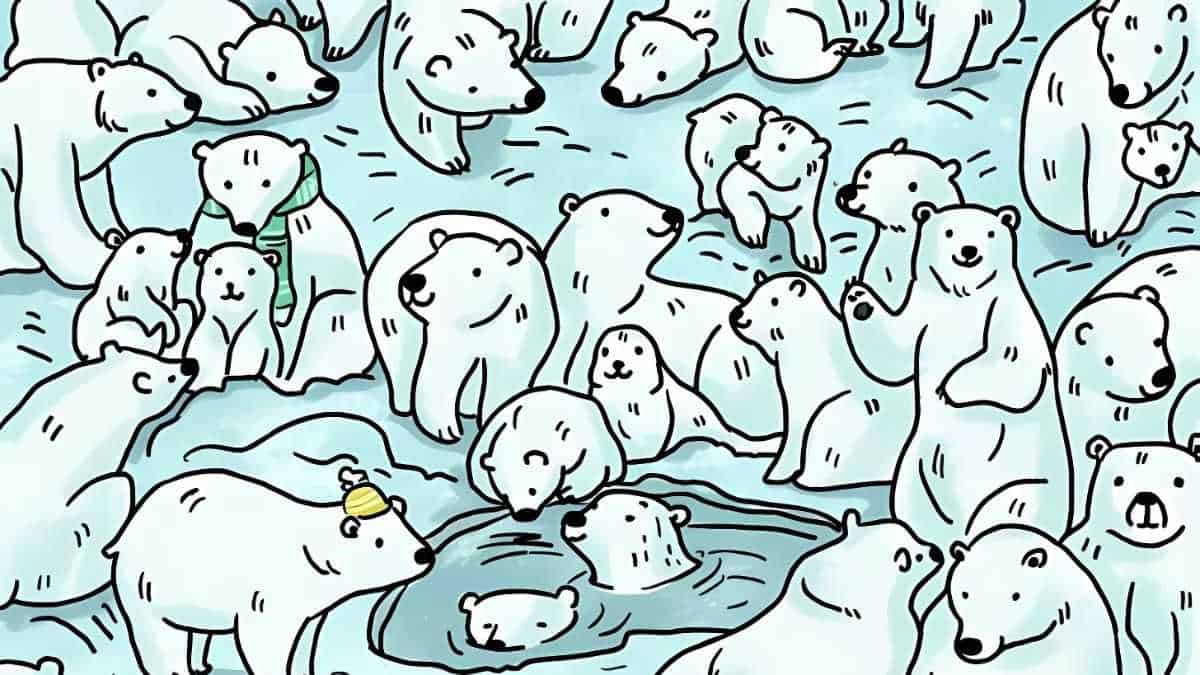 Only the sharpest eyes can find the seal among polar bears in 6 seconds!