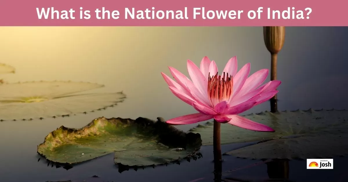 What is the National Flower of India