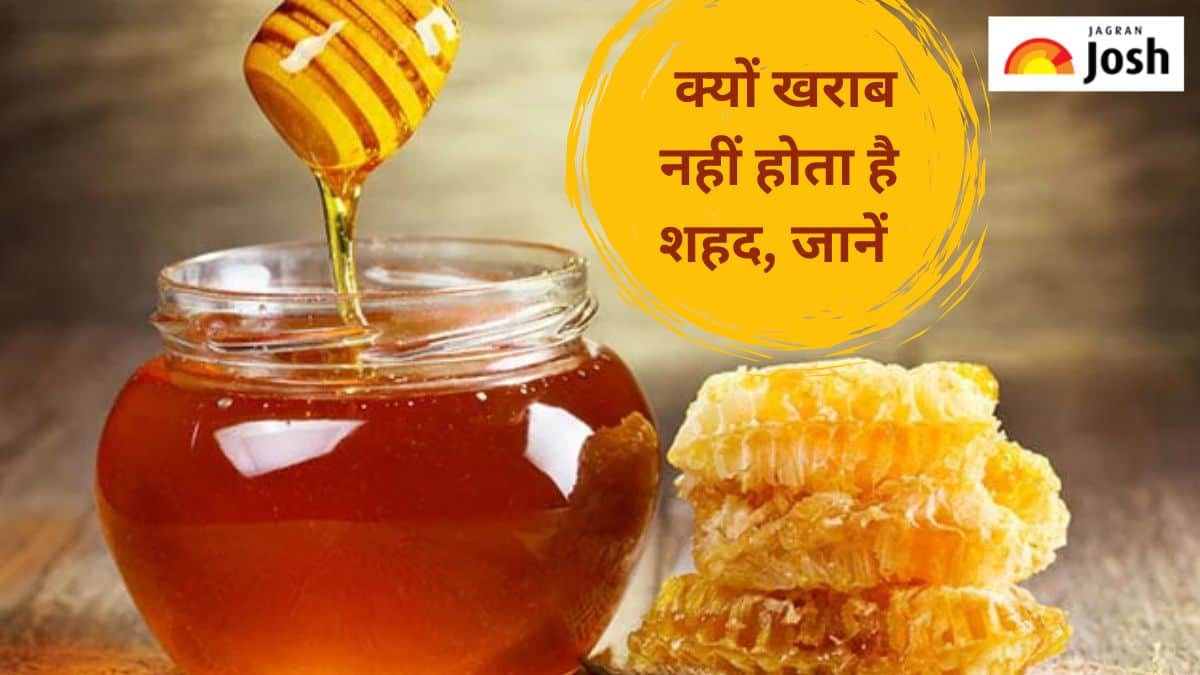 क्यों कभी खराब नहीं होता है शहद, यहां जानें  