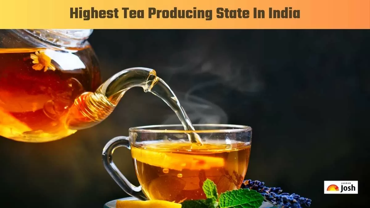  Highest tea producing state