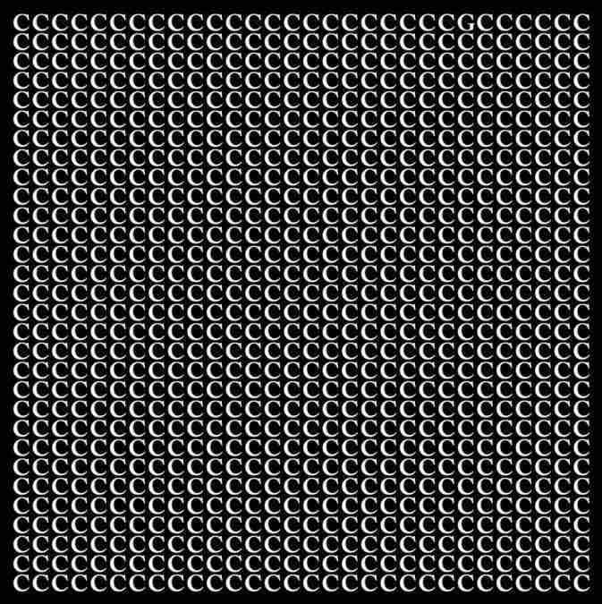 hidden optical illusions with answers