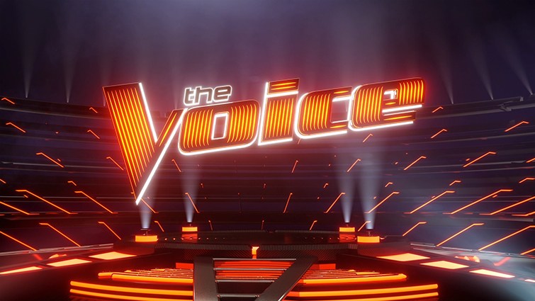 The Voice Winners List till 2025 (All Seasons) 