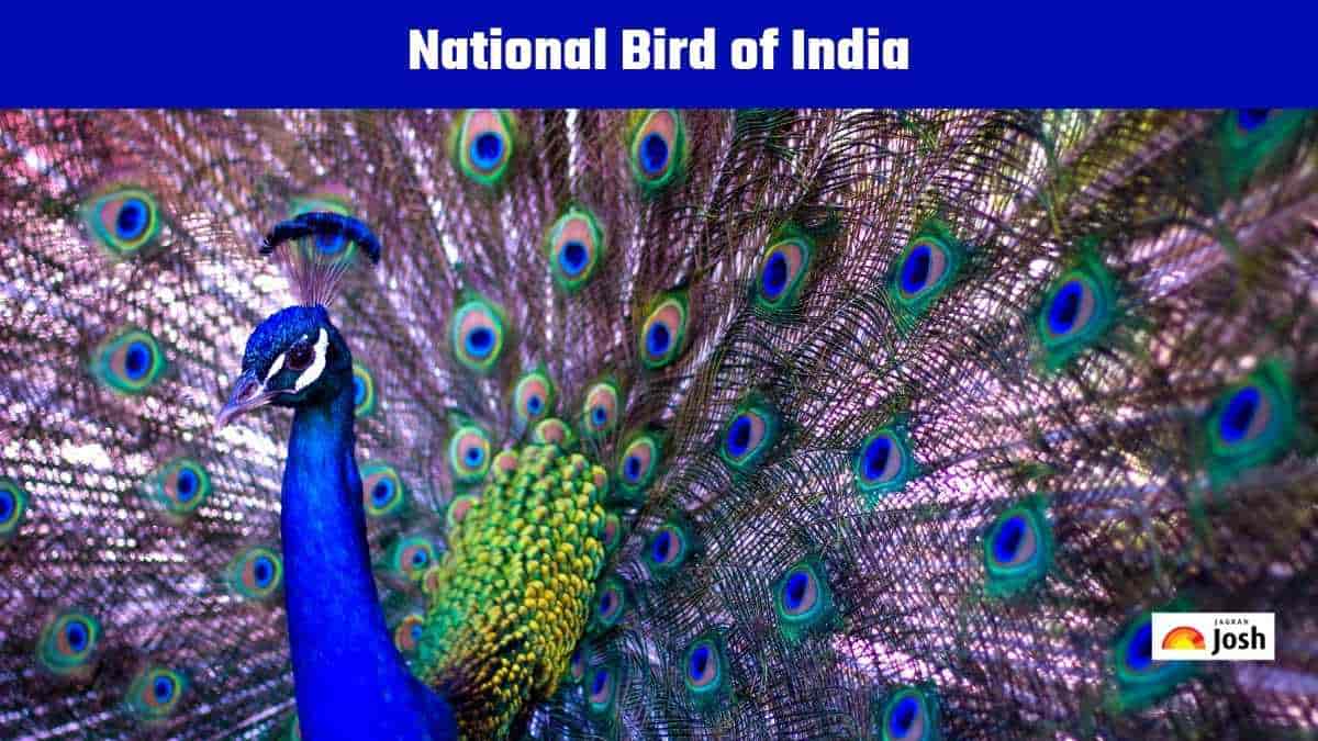 What is the National Bird of India?