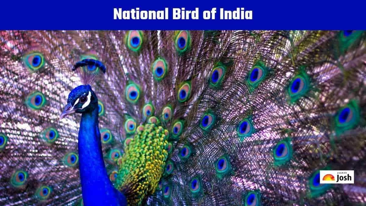  What is the National Bird of India?