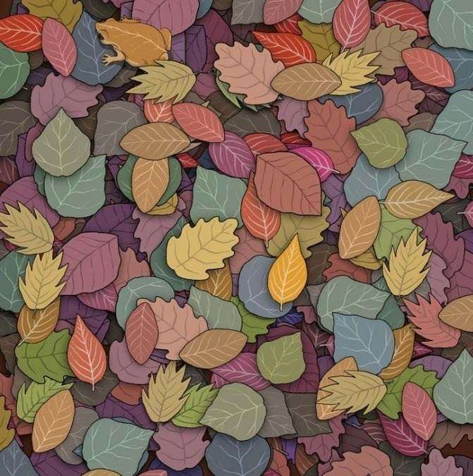 hidden optical illusions with answers