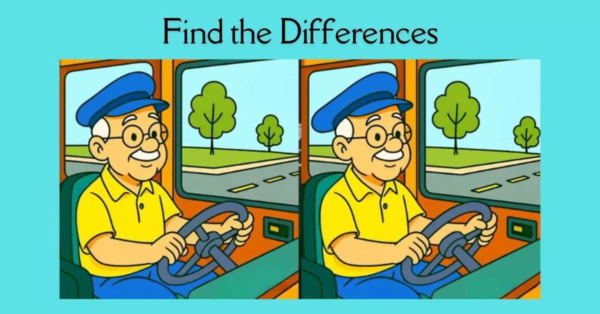 Spot the 3 Differences in Old Man Driving Bus 
