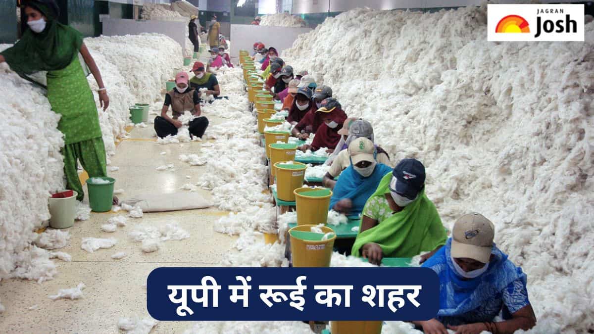 उत्तर प्रदेश में किस जिले को कहा जाता है रूई का शहर, जानें 