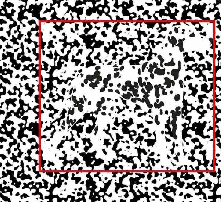 hidden optical illusions with answers