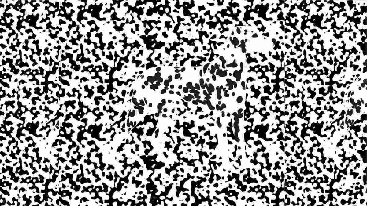 Spot the dog.