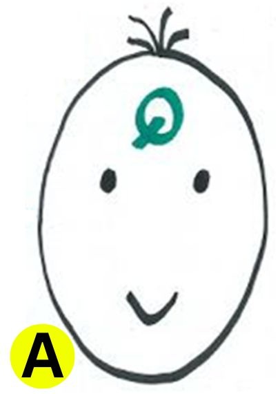 personality test are you a liar