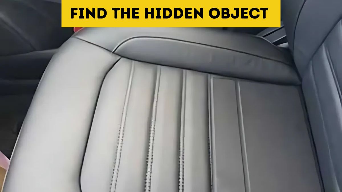 You have predator eyes if you can find the hidden object in 4 seconds!