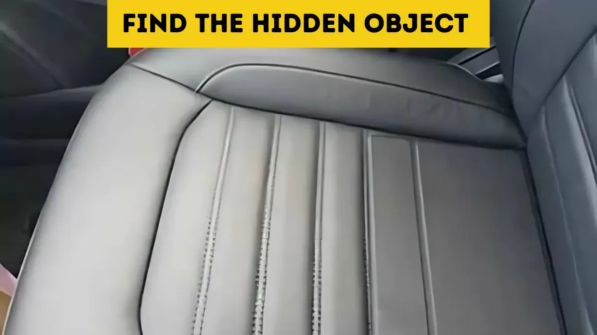 Find the hidden object
