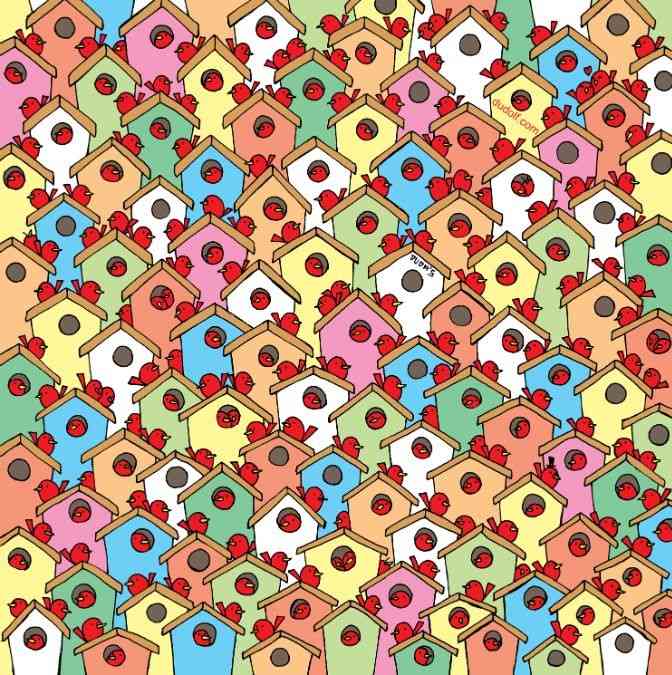 hidden picture puzzles with answers