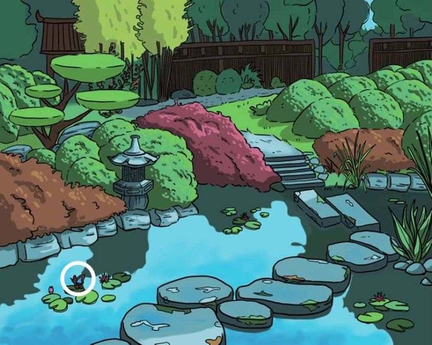 hidden optical illusions with answers