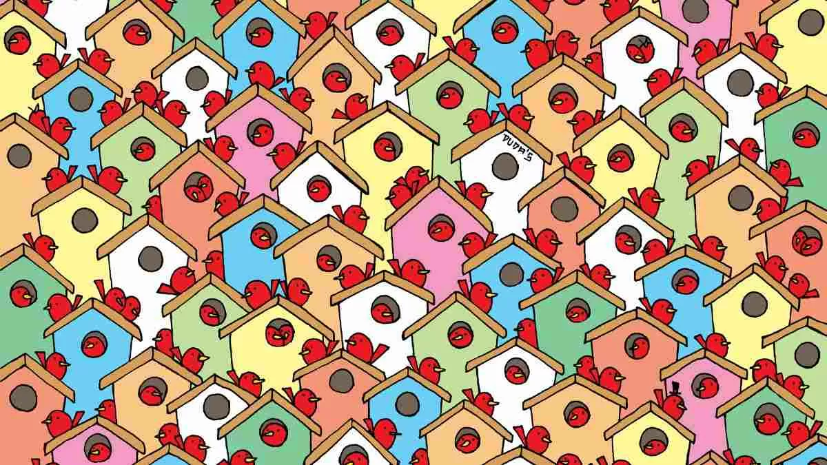 Spot 3 apples.