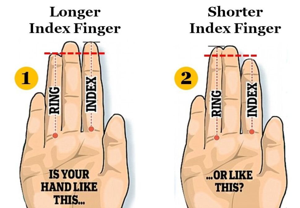 Index finger length personality test