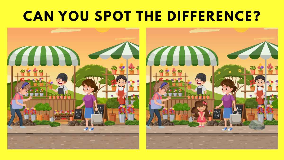 Spot the Difference: Can You Find 3 Differences Between the 2 Images in 12 Seconds
