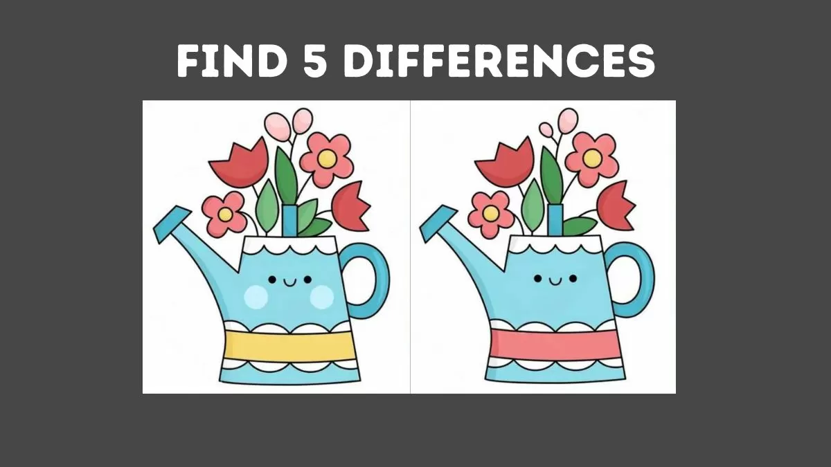 Spot 5 differences between flower vase pictures