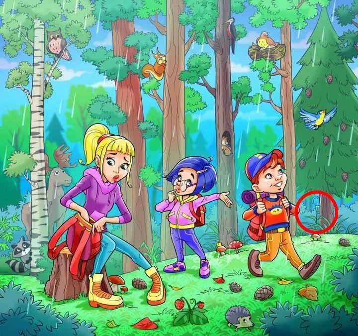 hidden optical illusions with answers