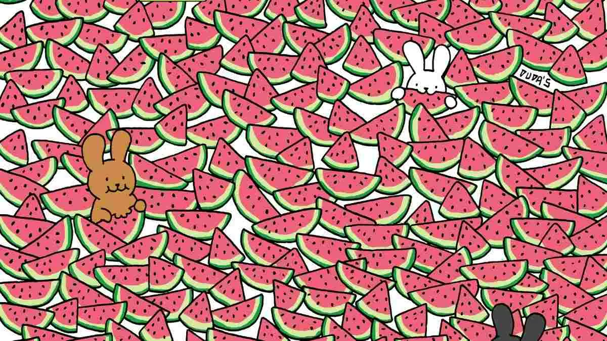 Spot 5 seedless watermelon slices.