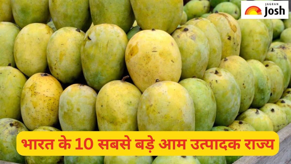 भारत के 10 सबसे बड़े आम उत्पादक राज्य, देखें लिस्ट 