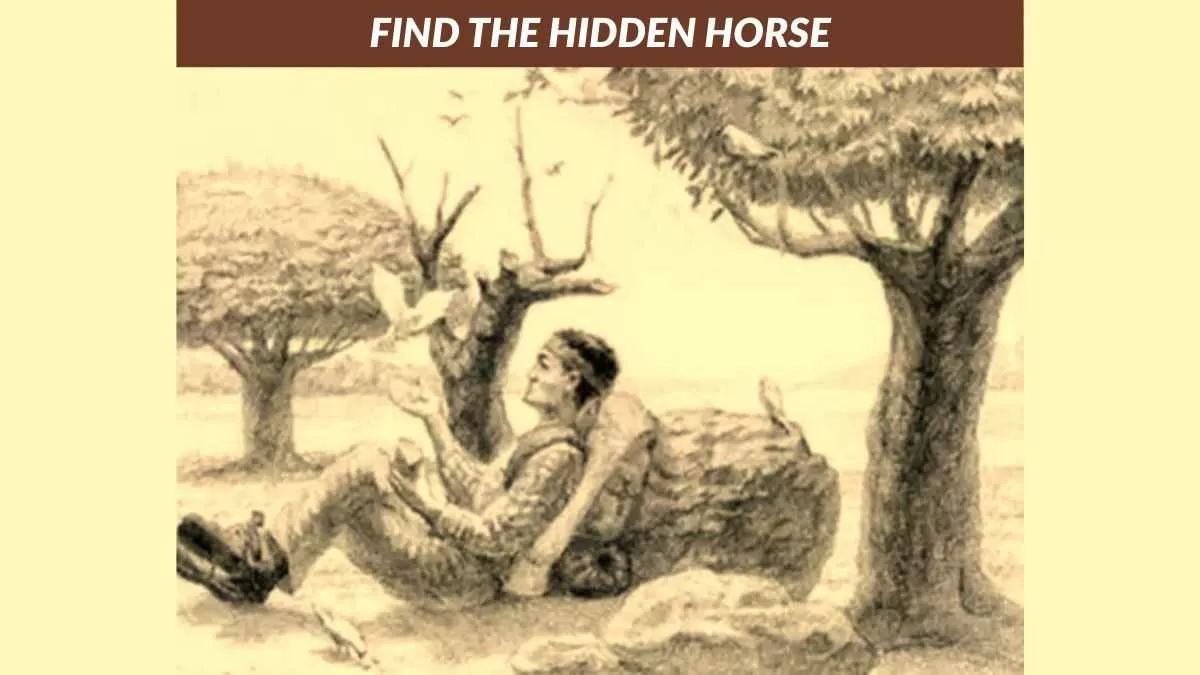 Find the hidden horse