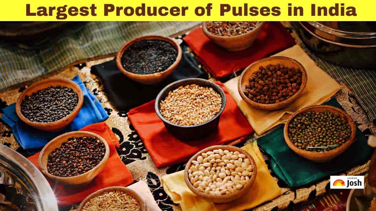 Which State Is the Largest Producer of Pulses in India?