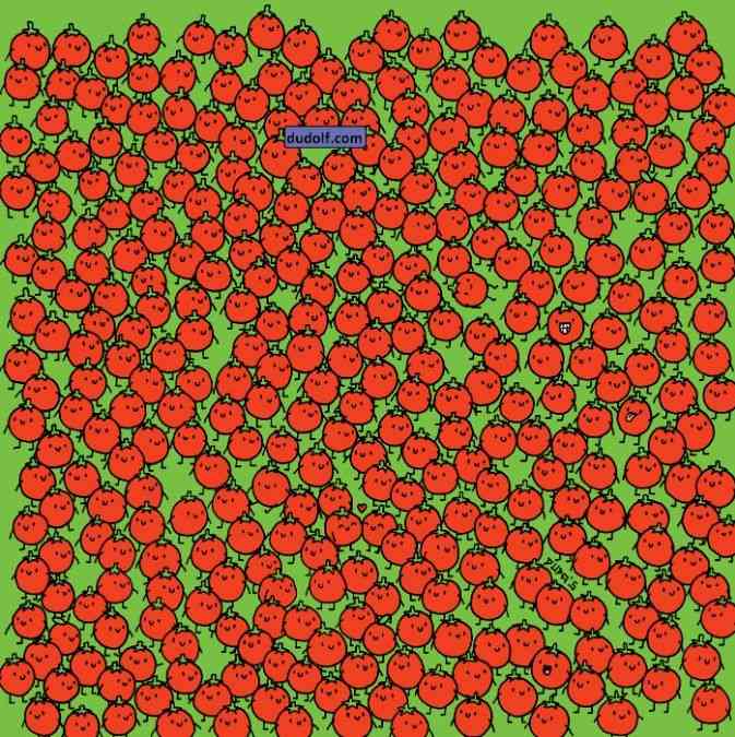 hidden picture puzzles with answers