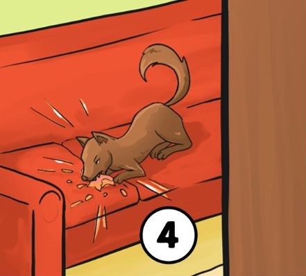 brain teaser personality test