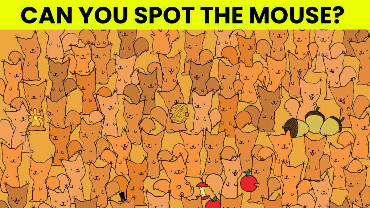 Picture Puzzle IQ Test: Can You Spot The Mouse Hidden Among Squirrels In 5 Seconds?