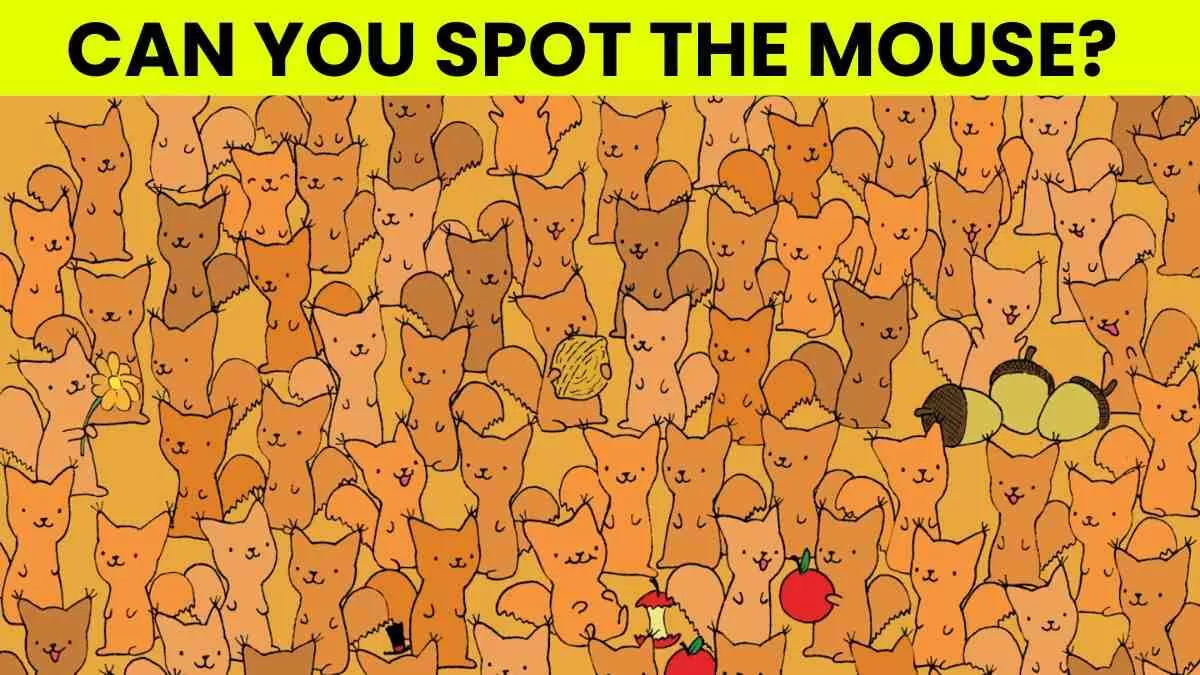 Spot the mouse.