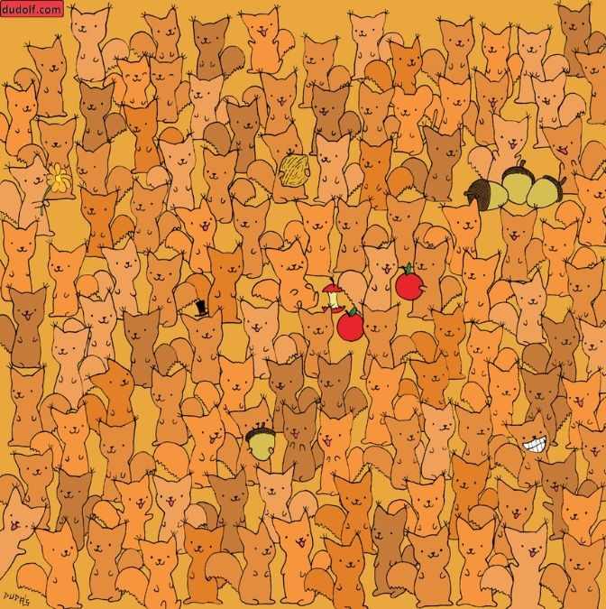 hidden picture puzzles with answers