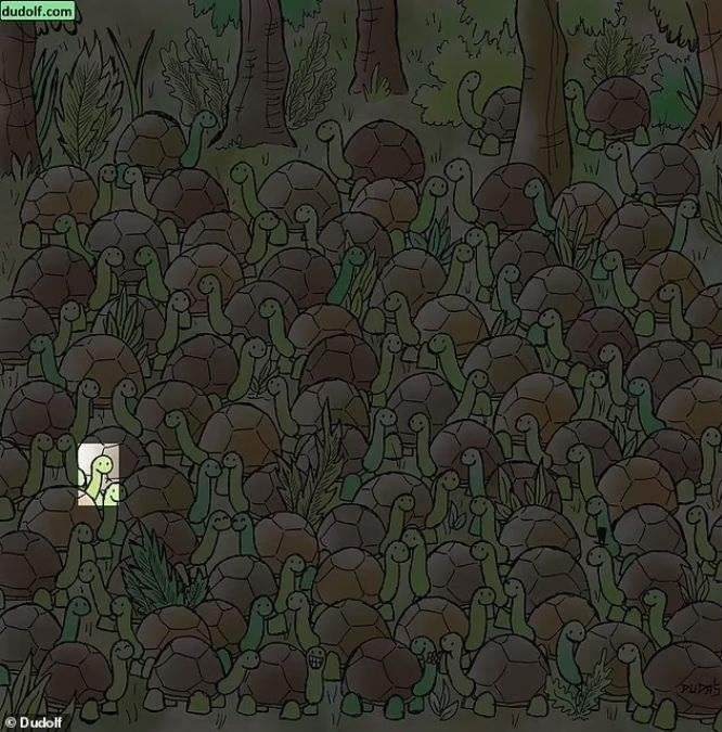 hidden optical illusions with answers