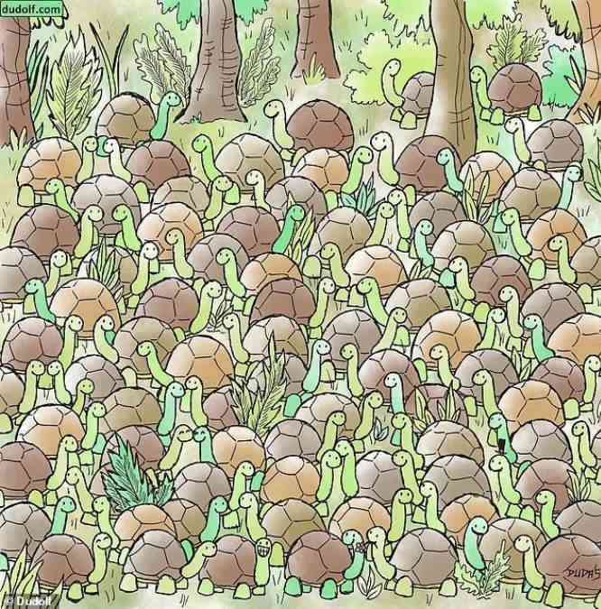 hidden optical illusions with answers