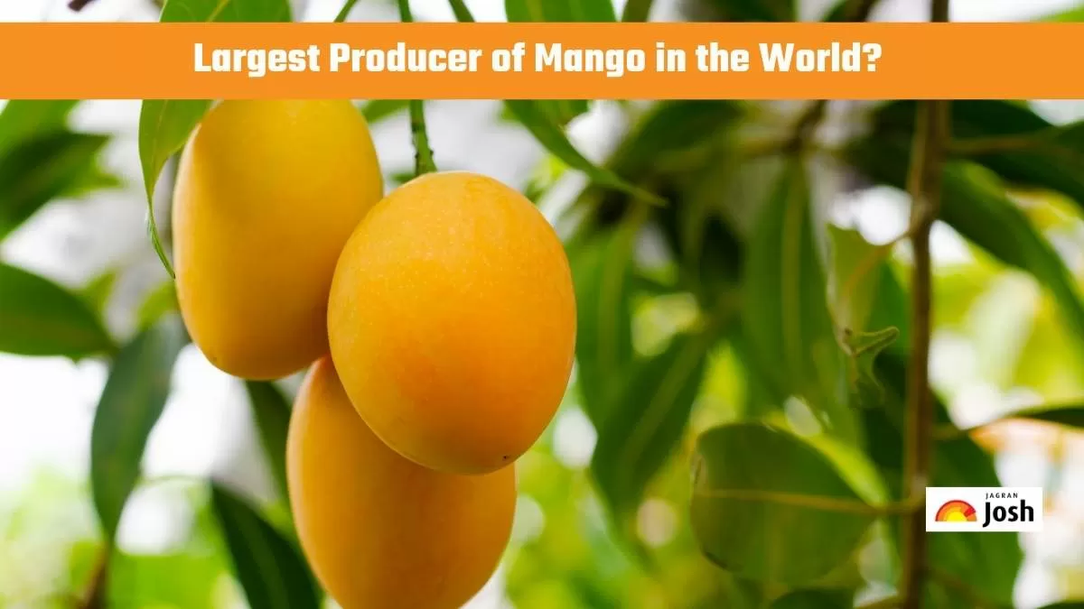  Largest Producer of Mango