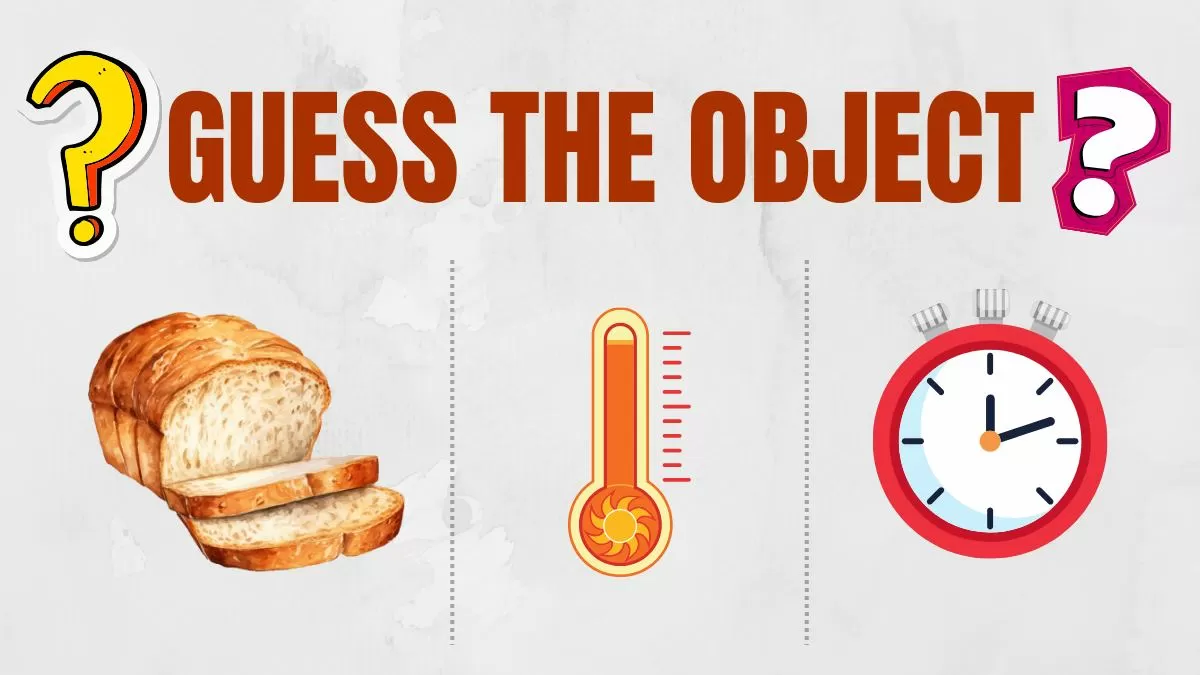 Guess the Object 