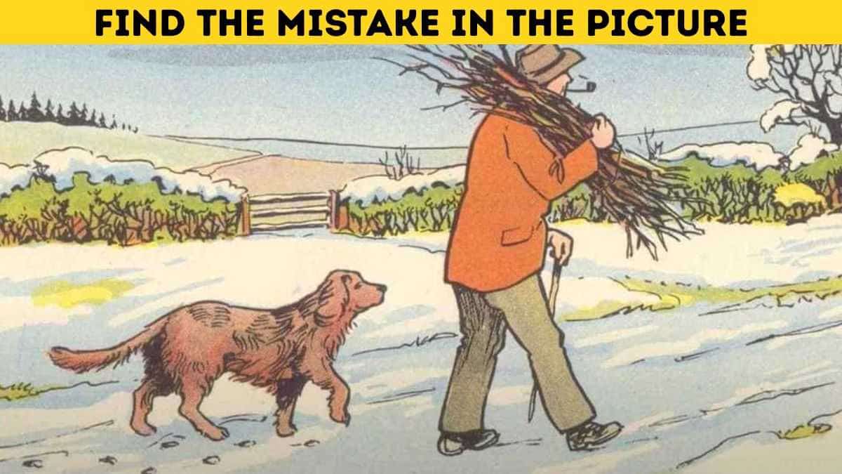 Only 1% of sharp-eyed readers can find the mistake in the picture in 5 seconds!