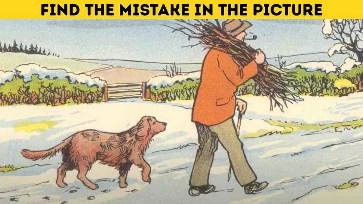 Find the mistake in 5 seconds