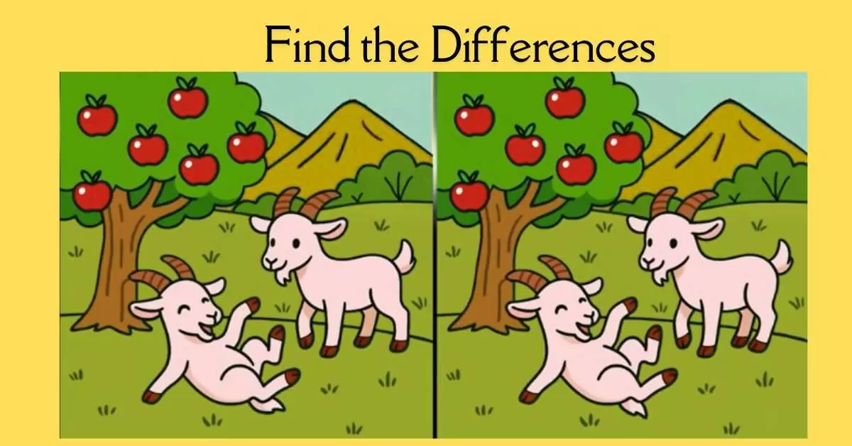 Spot the 3 Differences in Goats Playing in Field 