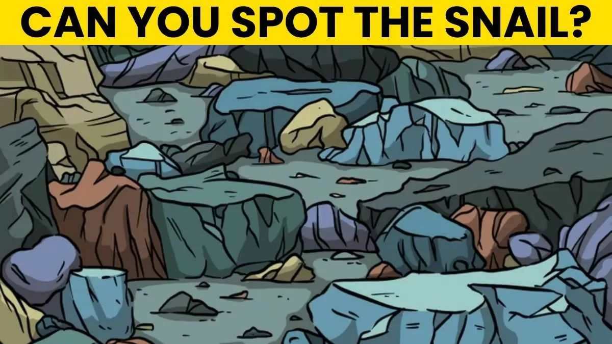 Optical Illusion IQ Test: A Sneaky Snail Is Hiding In Plain Sight! Can You Spot It In 5 Seconds?