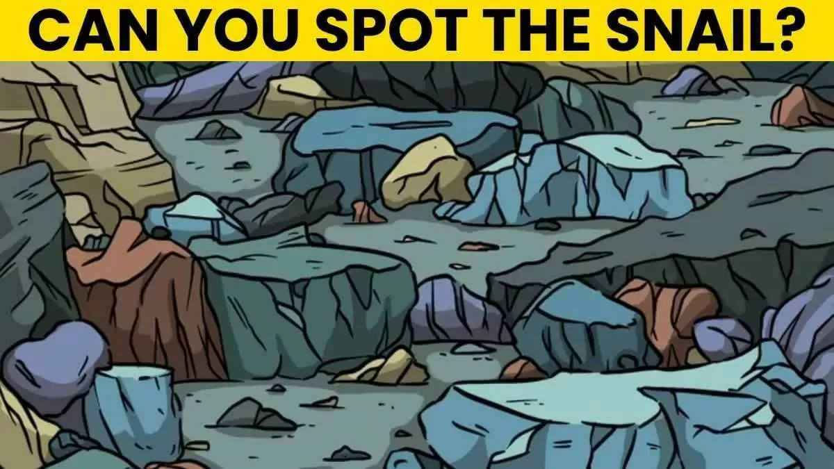 Spot the snail.