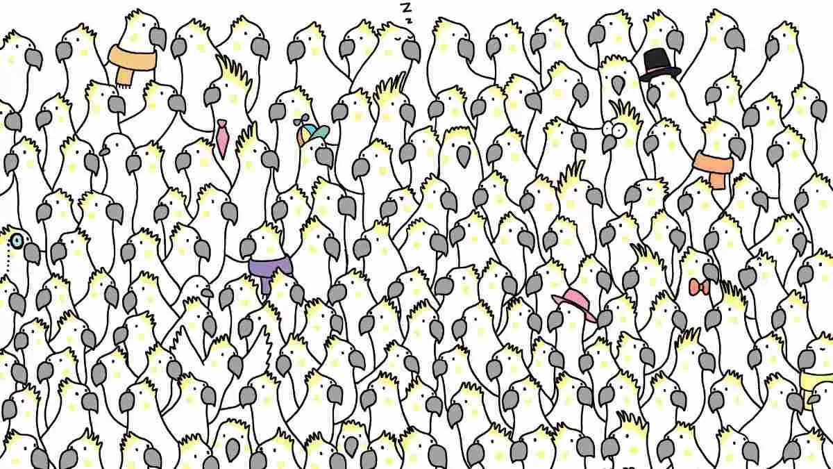 Spot four doves.