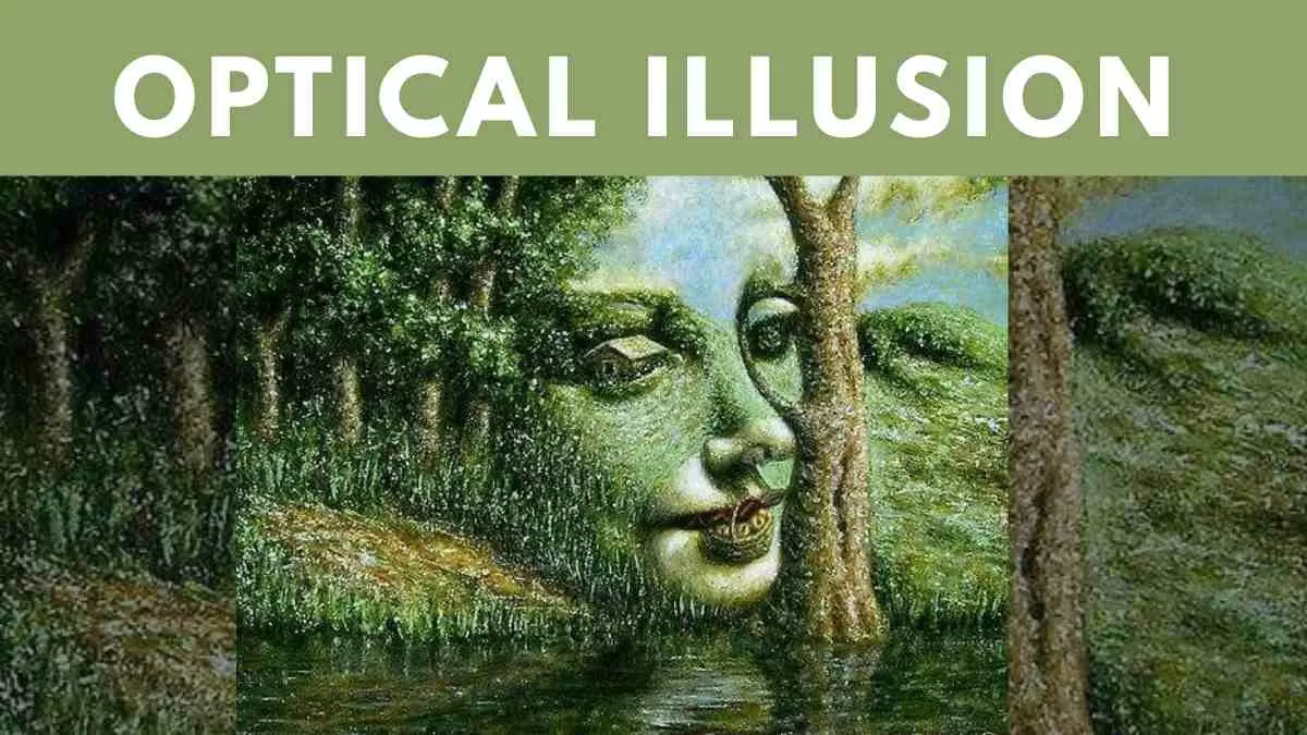 Optical Illusion 