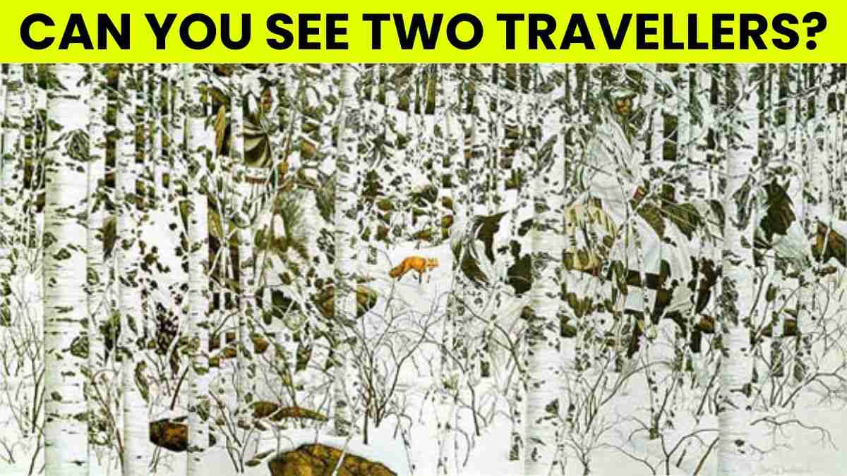 Optical Illusion IQ Test: Only People With Sharpest Eyes Can Spot Two Travellers In This Snowy Forest In 5 Seconds!
