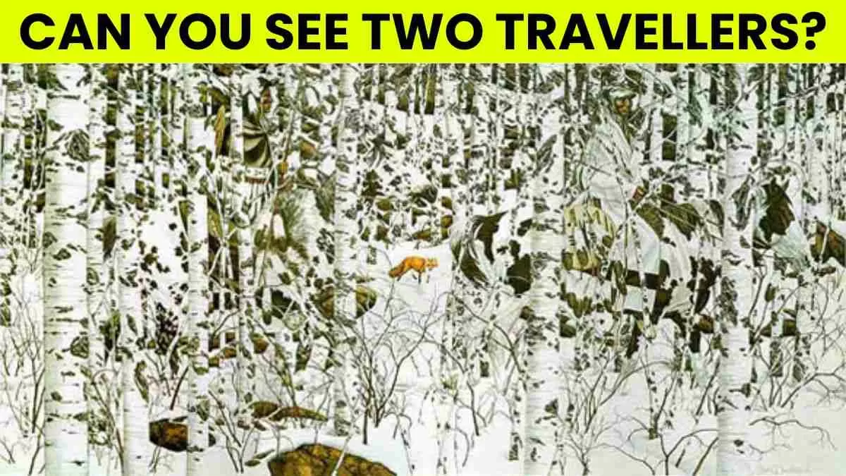 Spot Two Travellers.