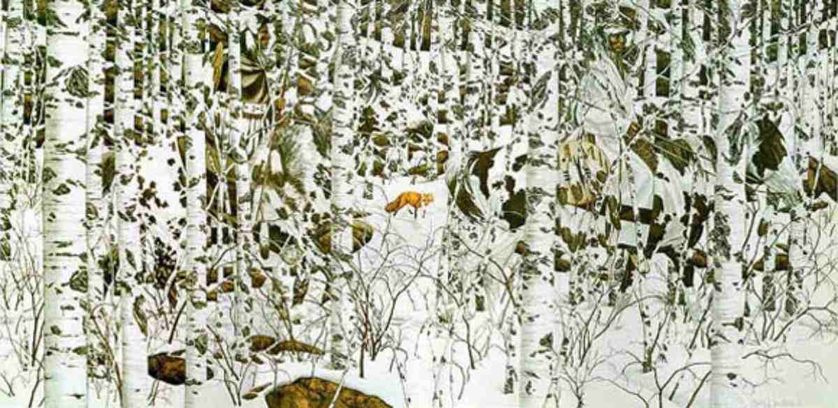 hidden optical illusions with answers